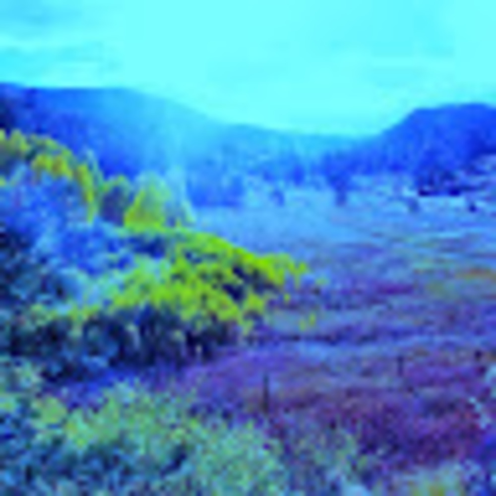 Meet your Posher, Cody